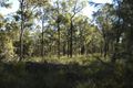 Property photo of 60 Esen Way Pheasants Nest NSW 2574