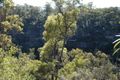 Property photo of 55 Esen Way Pheasants Nest NSW 2574