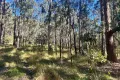 Property photo of 748 Tenterfield Road North Arm Cove NSW 2324