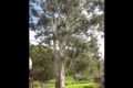 Property photo of 23 Mill Road Lobethal SA 5241