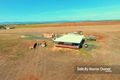 Property photo of Peninsula Developmental Road Lakeland QLD 4871