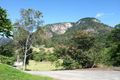 Property photo of 1187 Yakapari-Seaforth Road Mount Jukes QLD 4740