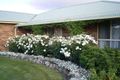 Property photo of 13 Encee Drive St Leonards TAS 7250