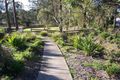 Property photo of 8 Scribbly Gum Crescent Cooranbong NSW 2265