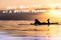 Property photo of 1083/1 Dee Why Parade Dee Why NSW 2099