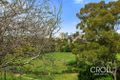 Property photo of 4/59 Lower Bent Street Neutral Bay NSW 2089