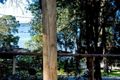 Property photo of 77 Cove Boulevard North Arm Cove NSW 2324
