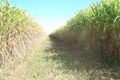 Property photo of 31 Horsleys Road Meadowvale QLD 4670