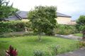 Property photo of 2 Hammond Avenue Croydon NSW 2132