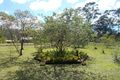 Property photo of 31 Arbornine Road Glenwood QLD 4570