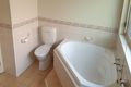 Property photo of 11 Wilson Street Wentworth Falls NSW 2782