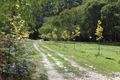 Property photo of 111 Swallow Road Kentdale WA 6333