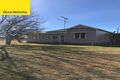 Property photo of 747 Grove Road Tingha NSW 2369