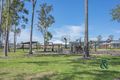 Property photo of 58 Royal Avenue Medowie NSW 2318