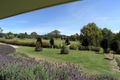 Property photo of 67 Weemilah Place Clifton Grove NSW 2800