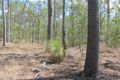 Property photo of 392 Whytallabah Road Euleilah QLD 4674