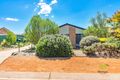 Property photo of 9 Feint Street Conder ACT 2906