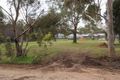 Property photo of 6 Frederick Street Lyndoch SA 5351