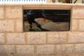 Property photo of 10 St Stephens Crescent Tapping WA 6065