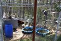 Property photo of 855 Bonds Road Hargraves NSW 2850