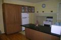 Property photo of 6 Burrell Street Flora Hill VIC 3550