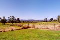 Property photo of 85 Kamilaroi Road Gunnedah NSW 2380