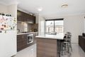 Property photo of 29 Teal Street Aberglasslyn NSW 2320