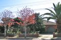 Property photo of 13 Murray Street Lidcombe NSW 2141
