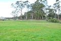 Property photo of 12 Collins Way Tugrah TAS 7310