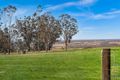 Property photo of 163 Donalds Range Road Razorback NSW 2571