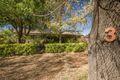 Property photo of 3 Golden Grove Red Hill ACT 2603