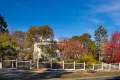Property photo of 156 Hargraves Street Castlemaine VIC 3450