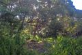 Property photo of 32 Grandview Crescent Killcare NSW 2257
