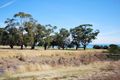 Property photo of 16 Coronae Drive Clifton Springs VIC 3222