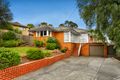 Property photo of 3 Willanjie Court Bundoora VIC 3083