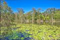 Property photo of 472 McKinnon Drive Cooroibah QLD 4565