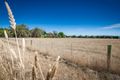 Property photo of 25 McNutts Lane Lancefield VIC 3435