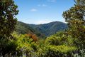 Property photo of 43 Fahey Road Mount Glorious QLD 4520