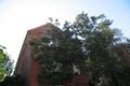 Property photo of 35 Whistler Street Manly NSW 2095
