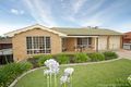 Property photo of 27 Brooklyn Drive Bourkelands NSW 2650