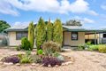 Property photo of 39 Dridan Avenue Renmark SA 5341