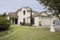 Property photo of 1 Alexander Court Novar Gardens SA 5040