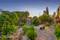 Property photo of 23 Snowdon Avenue Caulfield VIC 3162