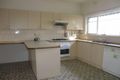 Property photo of 15 William Street Box Hill VIC 3128