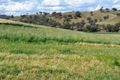 Property photo of 21 Wisemans Arm Road Garthowen NSW 2345