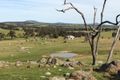 Property photo of 239 Graces Hill Road Great Western VIC 3374