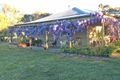 Property photo of 239 Graces Hill Road Great Western VIC 3374