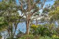 Property photo of 10 Kananook Avenue Bayview NSW 2104