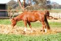 Property photo of 1000 Toolamba Road Toolamba VIC 3614