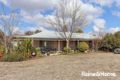 Property photo of 3 Frome Street Raglan NSW 2795